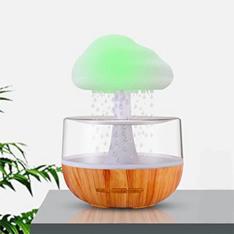 Rain Cloud Humidifier